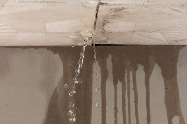 Professional Structural Drying technician working in Woodbury, NJ